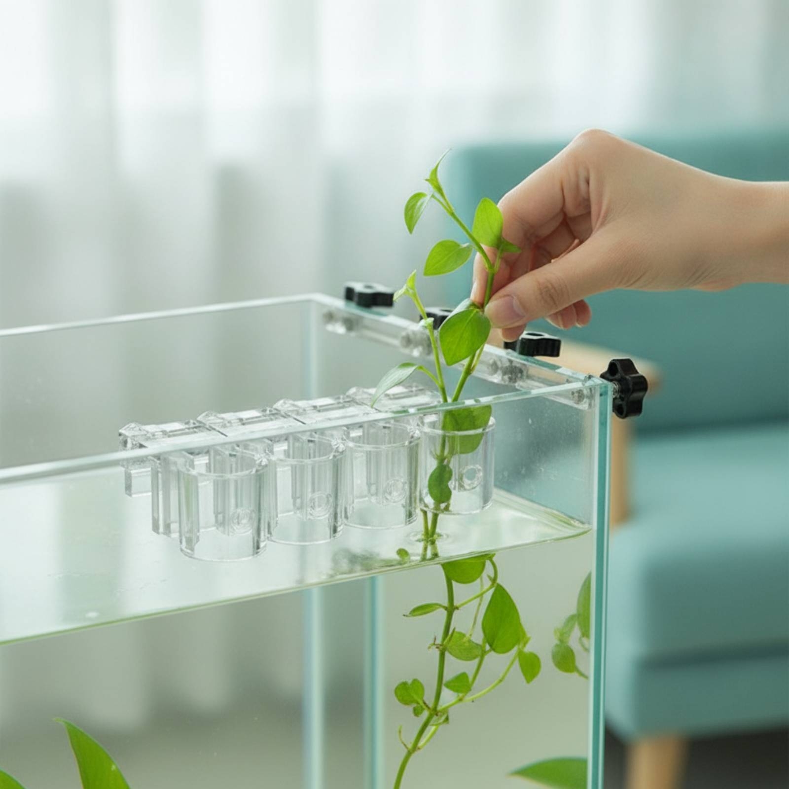 Aquarium Planted Plants - 6 قطع مشبك دعم شفاف للزراعة