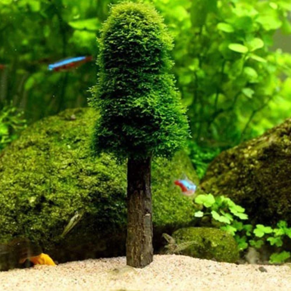 Aquarium Planted Background - شجرة عيد الميلاد الاصطناعية، حامل نباتات