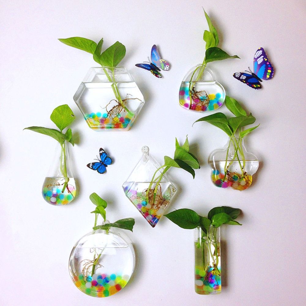 Aquarium Planted Wall - مزهرية معلقة على شكل مخروطي، مزهرية