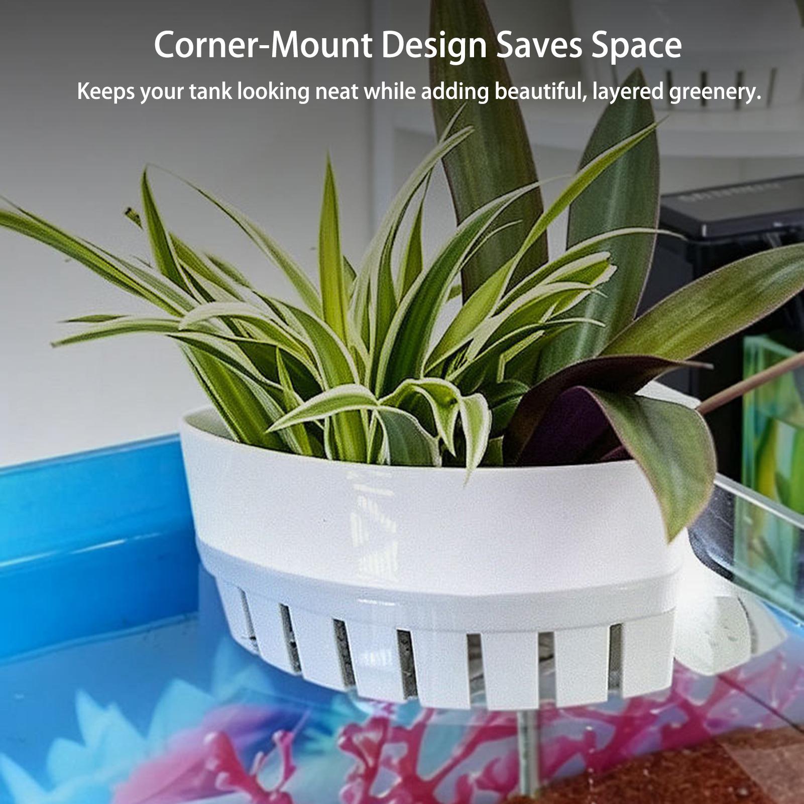 Aquarium Planted Background - سلة نباتات للأحواض المائية، وعاء زينة