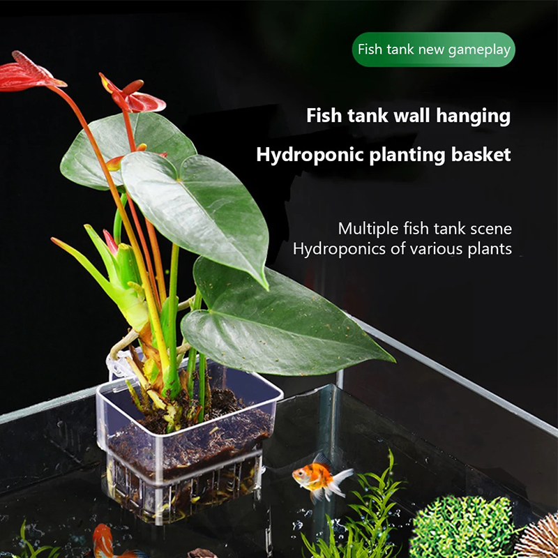 Aquarium Planted Wall - جديد: حامل نباتات مائي معلق على
