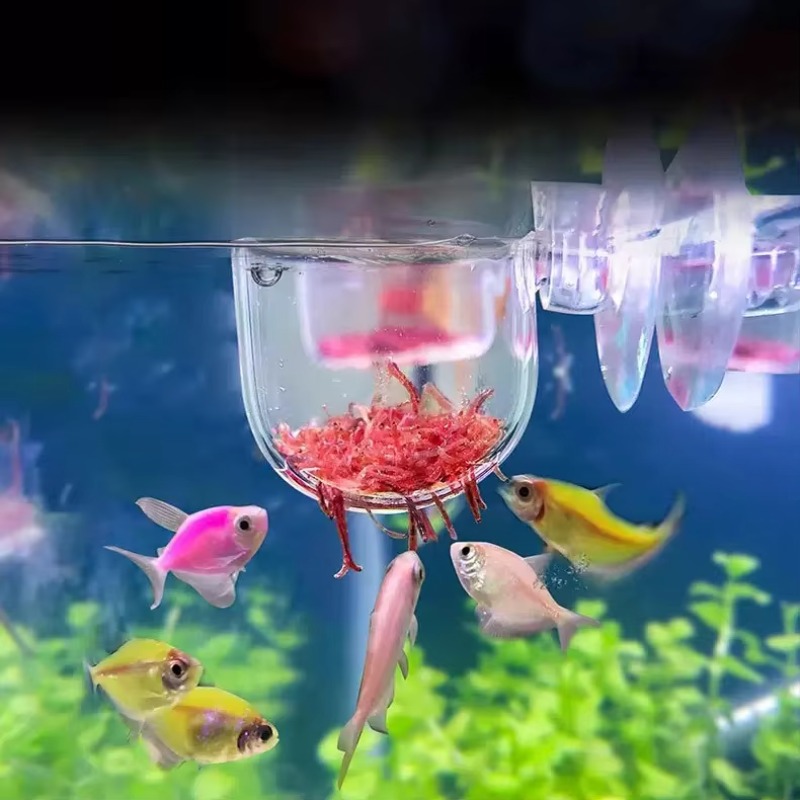 Aquarium Plant Factory - مصنع حوض السمك الديكور معلقة خزان
