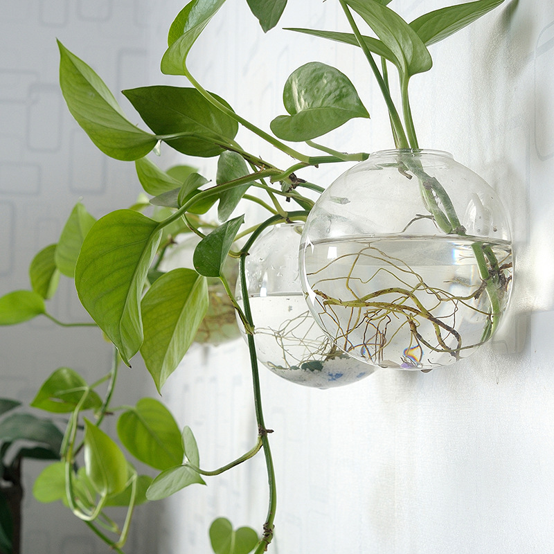 Aquarium Planted Wall - الجدار شنقا وعاء السمك الاكريليك شبكي