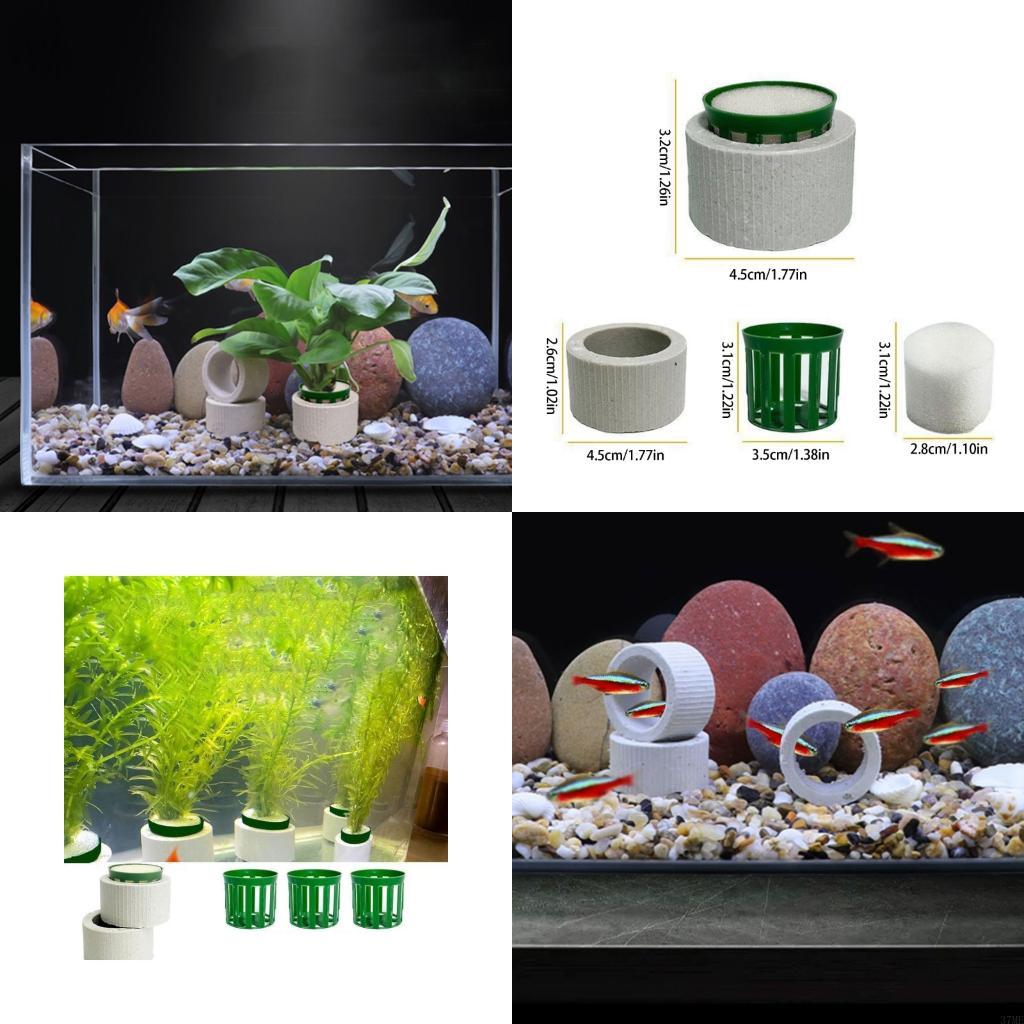 Aquarium Planted Background - 37ME 10 قطعة حوض السمك النبات