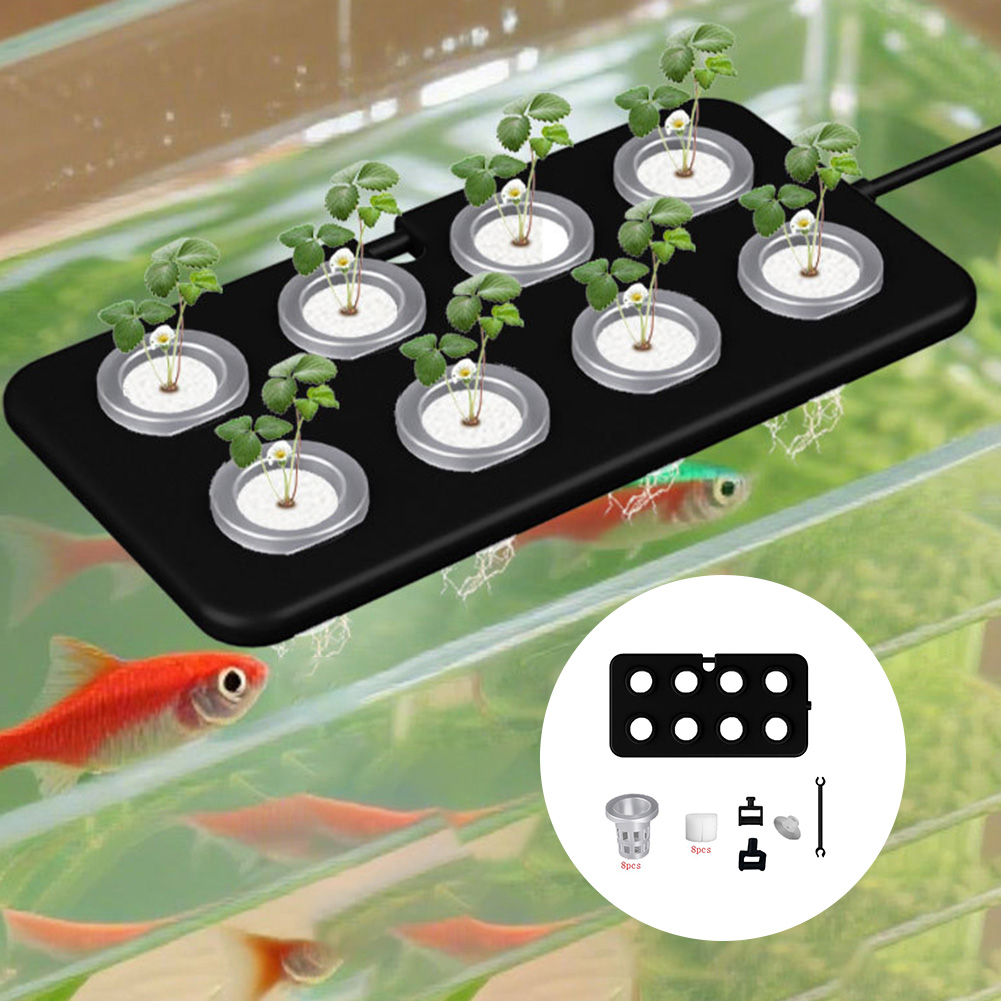 Aquarium Planted Wall - المائية العائمة زراعة مجلس سلة زرع