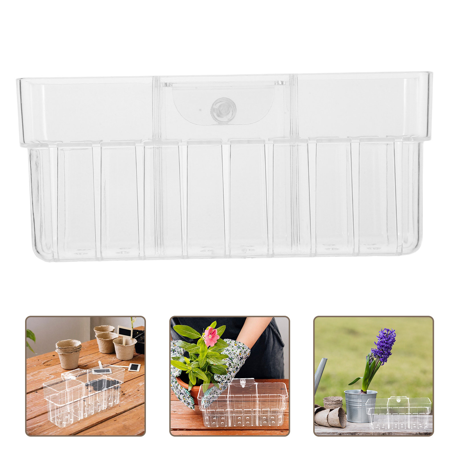 Aquarium Planted Wall - سلة نباتات مائية شفافة بثلاثة أقسام