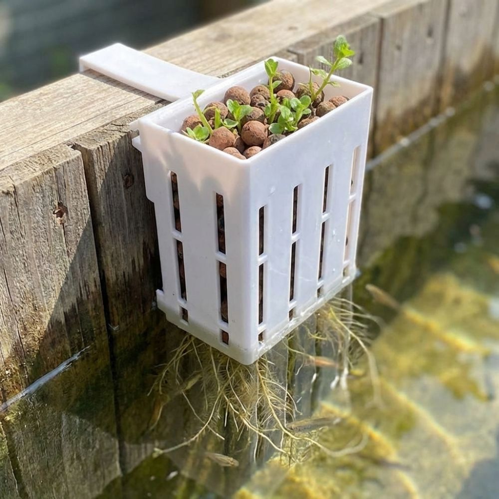 Aquarium Planted Wall - سلة نباتات معلقة على الحائط لأحواض