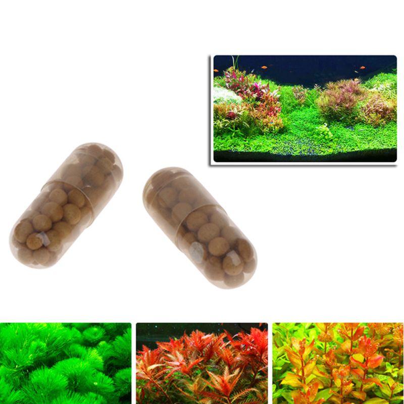 Planted Aquarium Best Fish - QX2E حوض السمك الأسمدة النباتية الحية