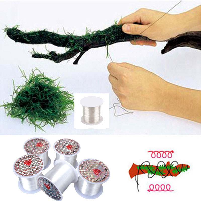 Aquarium Plant Echinodorus - 120 متر لتقوم بها بنفسك خط