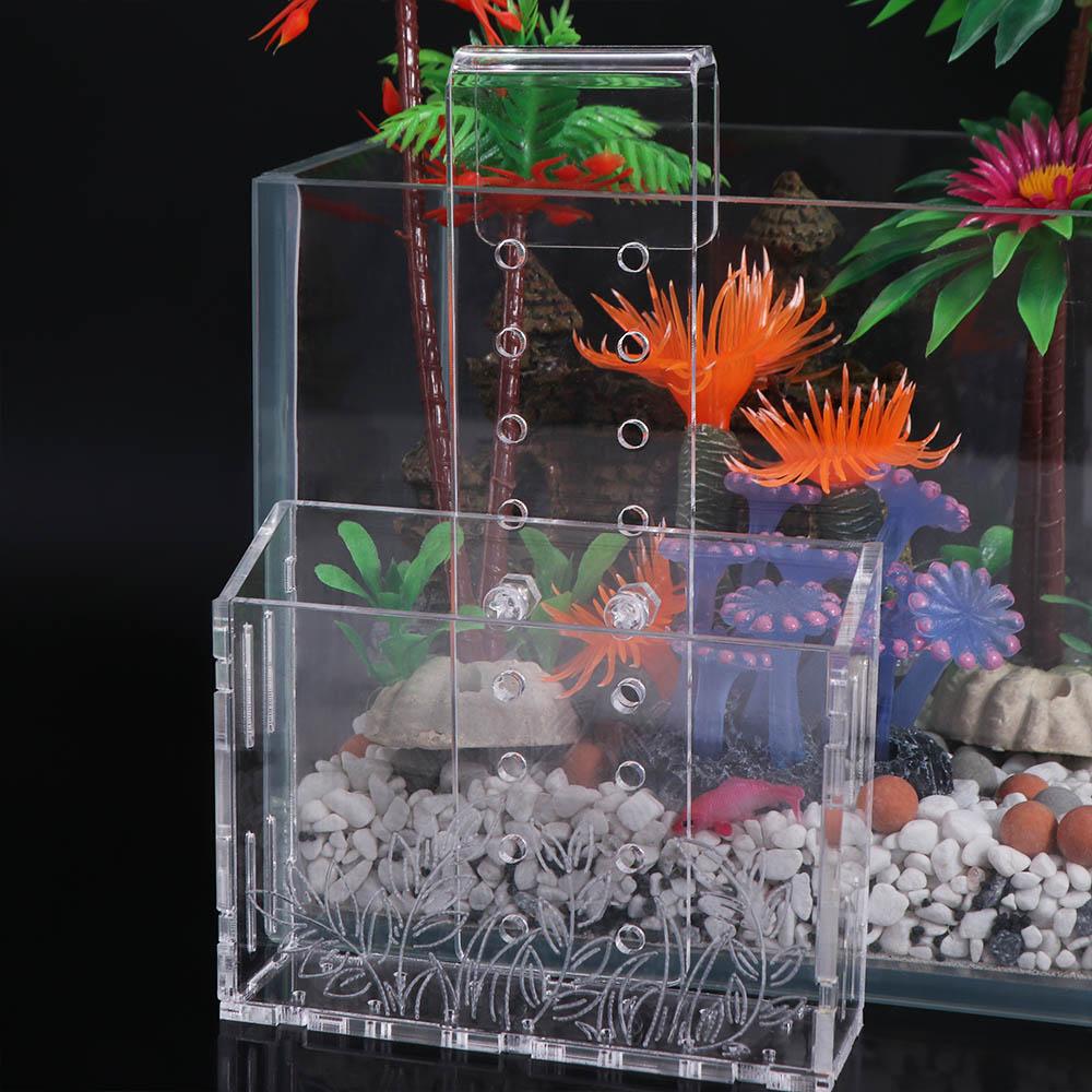 Aquarium Planted Wall - حامل نباتات مائية شفاف من الأكريليك