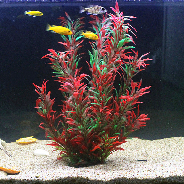 Aquarium Plant Display - نباتات اصطناعية نادرة لأحواض السمك بطول