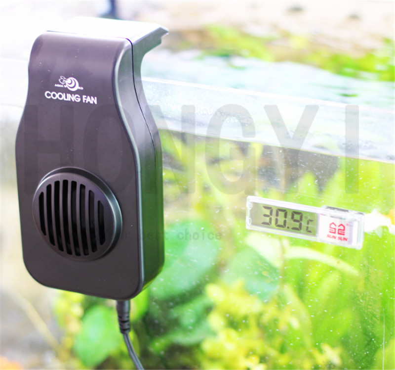 Planted Aquarium Water Temperature - مروحة تبريد صغيرة لحوض السمك ،