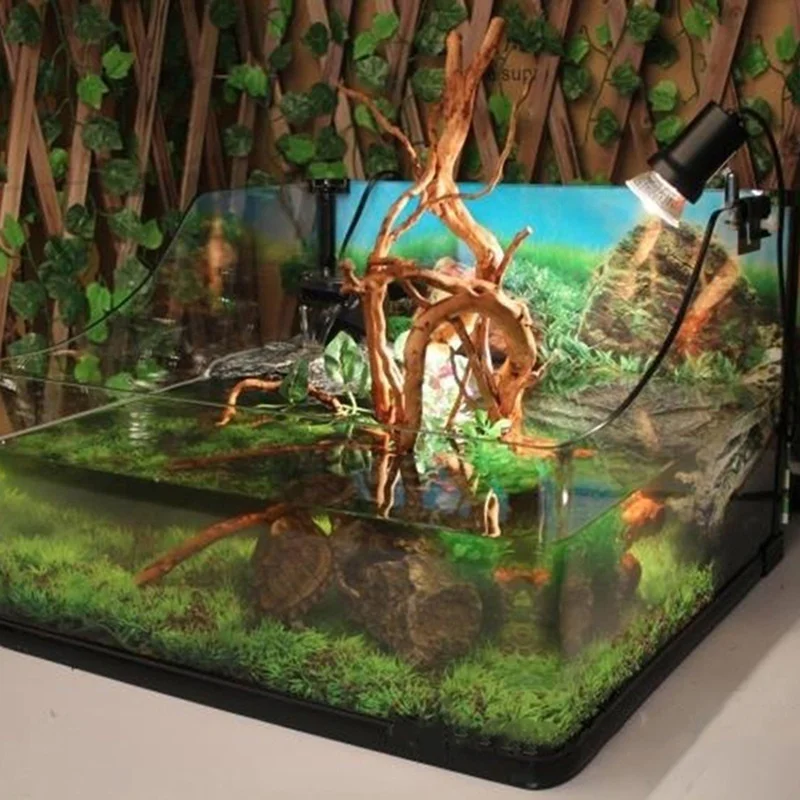 Planted Aquarium Making - جذع شجرة طبيعية Driftwood خزان حوض