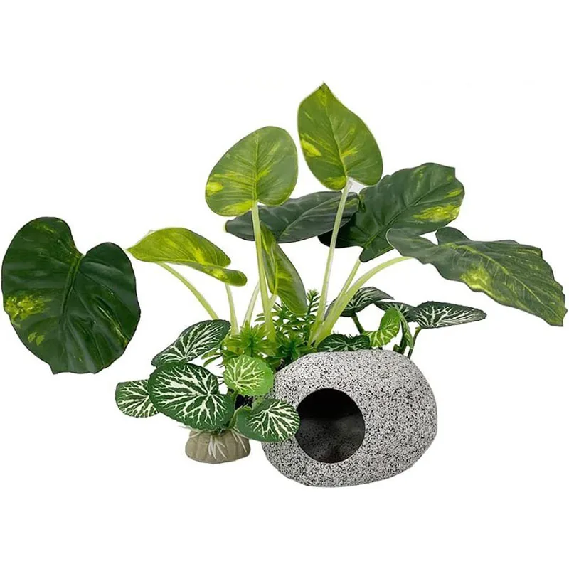 Aquarium Planted Background - صغيرة تحت الماء العشب حوض للأسماك