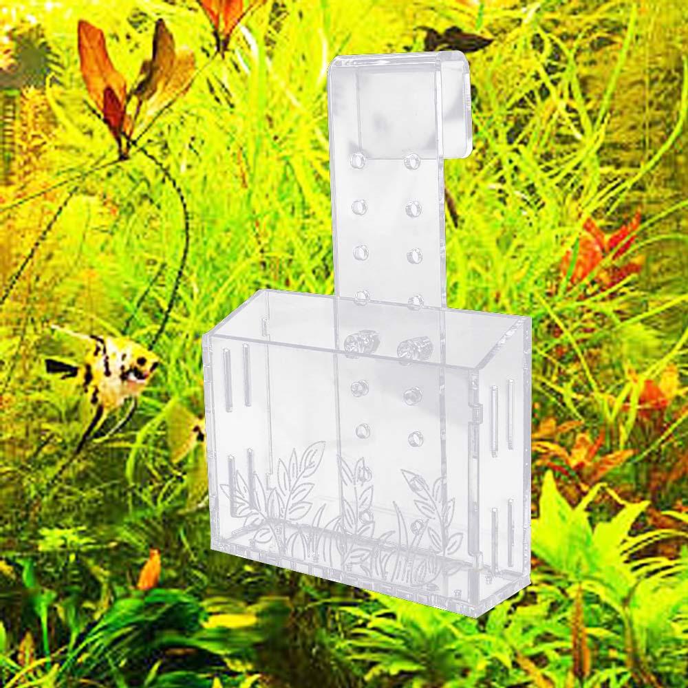 حامل نباتات مائية شفاف للتعليق - مراجعة Aquarium Planted Wall وسعره