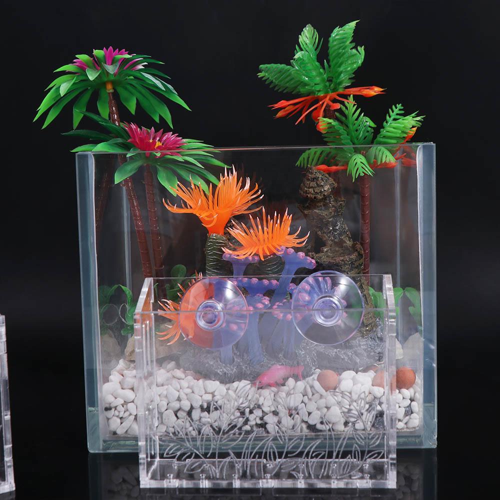 حامل نباتات مائية شفاف للتعليق - مراجعة Aquarium Planted Wall وسعره