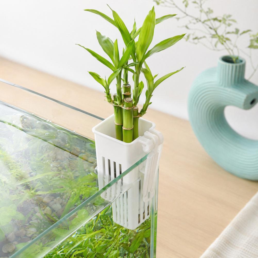 وعاء نباتات مائية معلق على الح - مراجعة Aquarium Planted Wall وسعره
