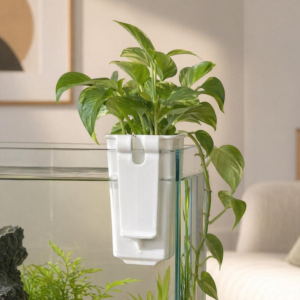 وعاء نباتات مائية معلق على الح - مراجعة Aquarium Planted Wall وسعره