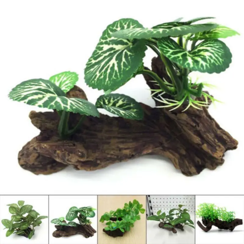 البلاستيك شجرة السلحفاة الاصطن - مراجعة Planted Aquarium Making وسعره