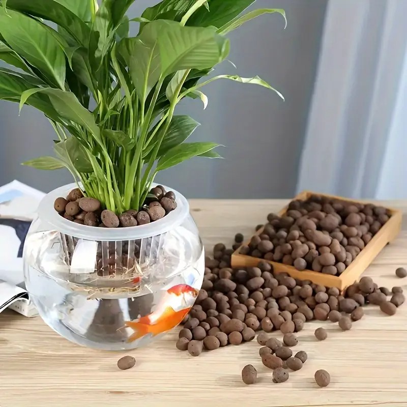 حبيبات تيراكوتا خفيفة الوزن وج - مراجعة Aquarium Planted Plants وسعره