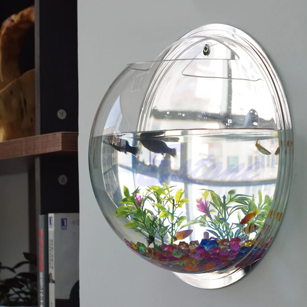 وعاء سمك أكريليك مثبت على الحا - مراجعة Aquarium Planted Wall وسعره
