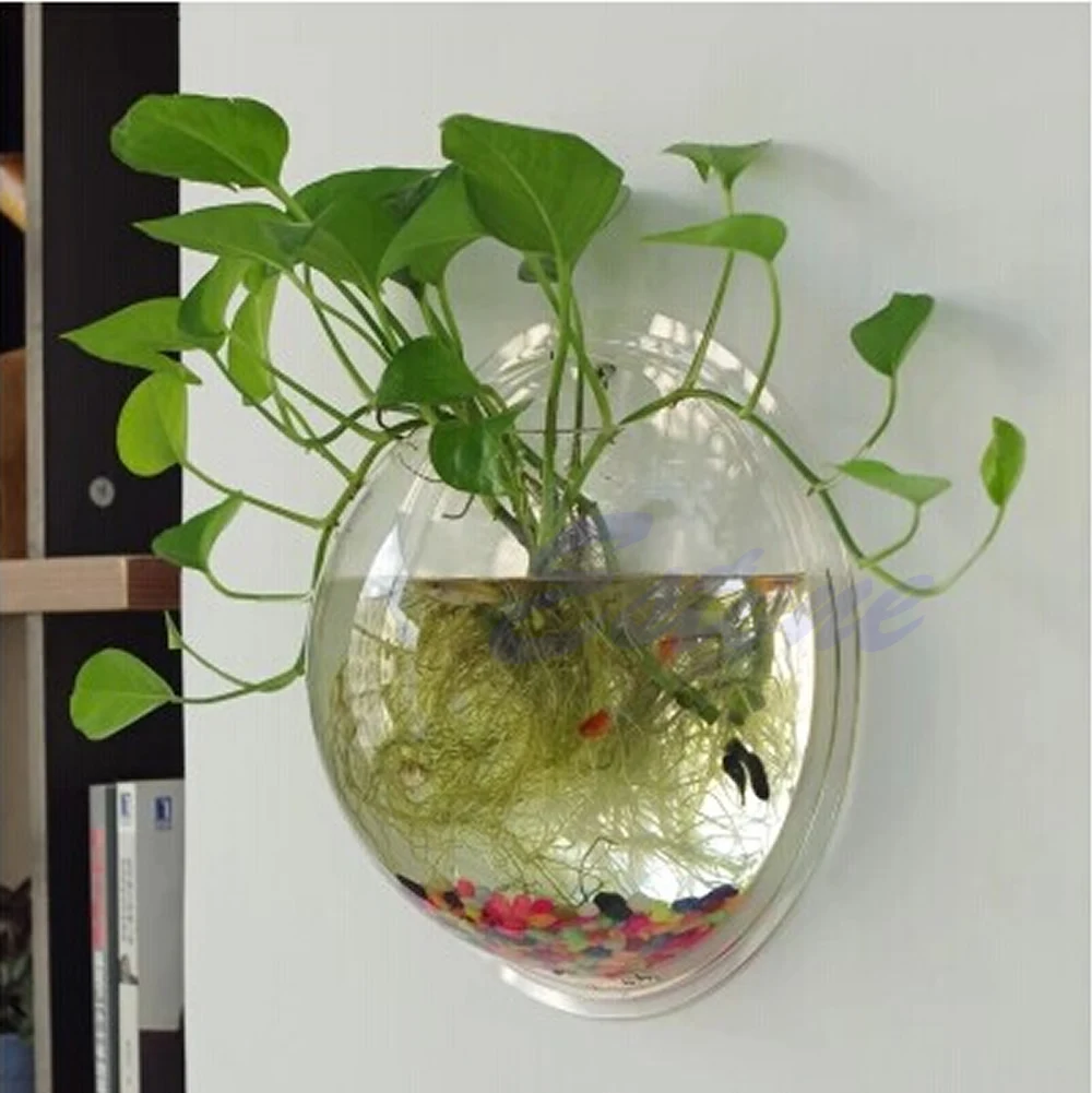 وعاء سمك أكريليك مثبت على الحا - مراجعة Aquarium Planted Wall وسعره