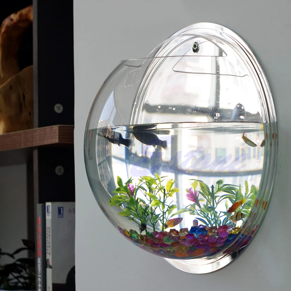 وعاء سمك أكريليك مثبت على الحا - مراجعة Aquarium Planted Wall وسعره