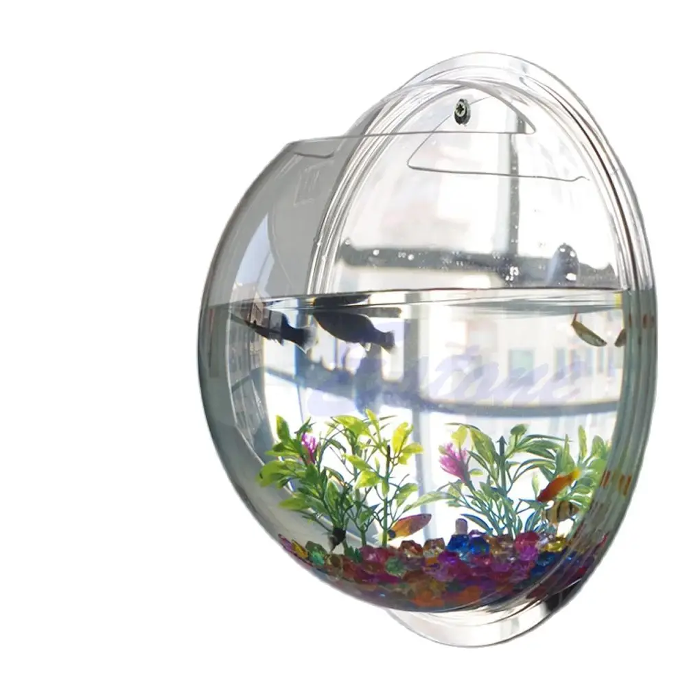 وعاء سمك أكريليك مثبت على الحا - مراجعة Aquarium Planted Wall وسعره