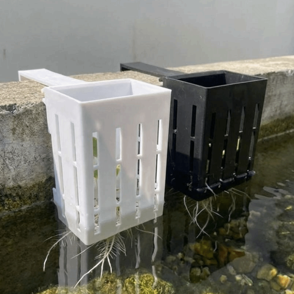 سلة نباتات معلقة على الحائط لأ - مراجعة Aquarium Planted Wall وسعره