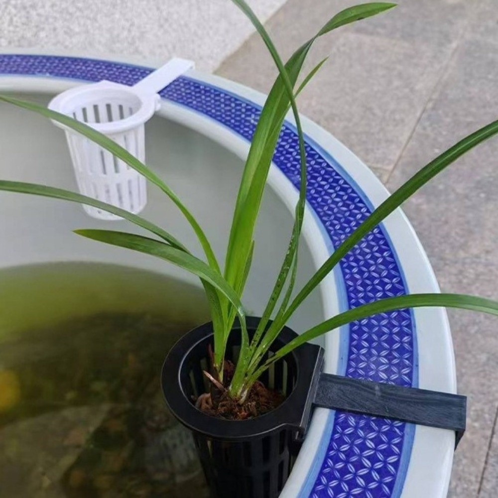 سلة نباتات معلقة على الحائط لأ - مراجعة Aquarium Planted Wall وسعره