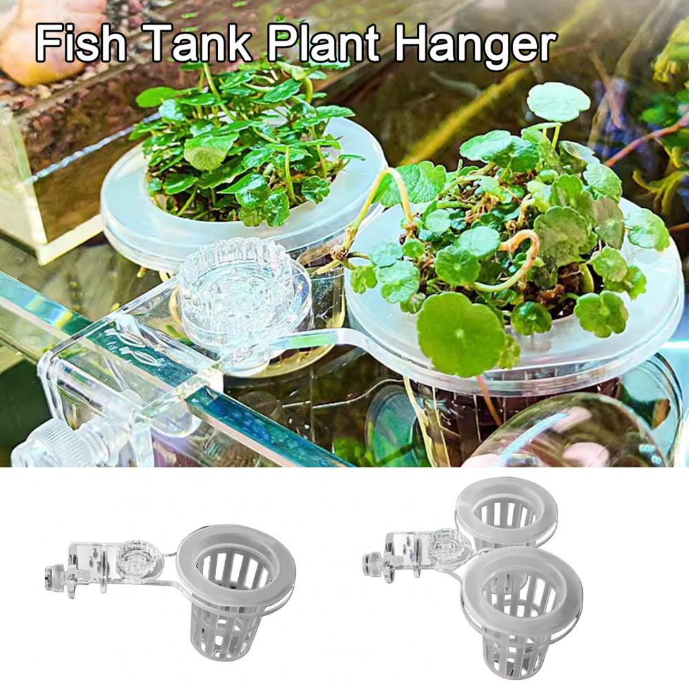 حامل نبات حوض السمك الحائط سلة - مراجعة Aquarium Planted Wall وسعره