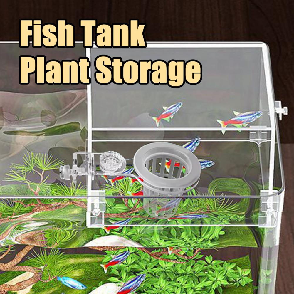 حامل نبات حوض السمك الحائط سلة - مراجعة Aquarium Planted Wall وسعره