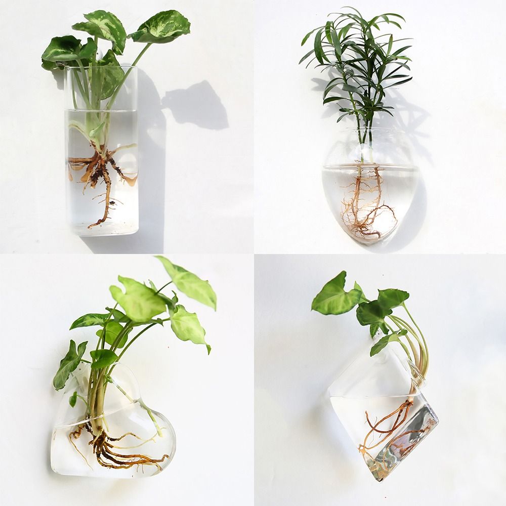 مزهرية معلقة على شكل مخروطي، م - مراجعة Aquarium Planted Wall وسعره