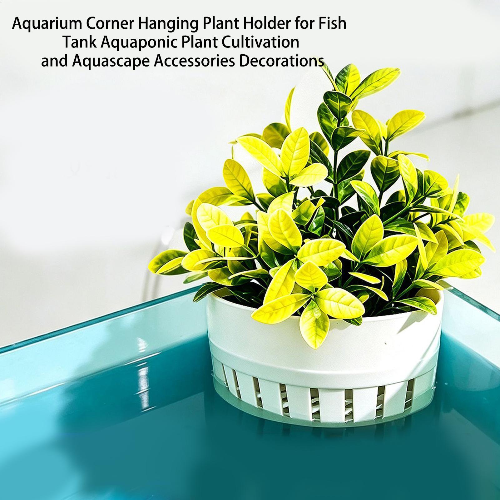 سلة نباتات للأحواض المائية، وع - مراجعة Aquarium Planted Background وسعره