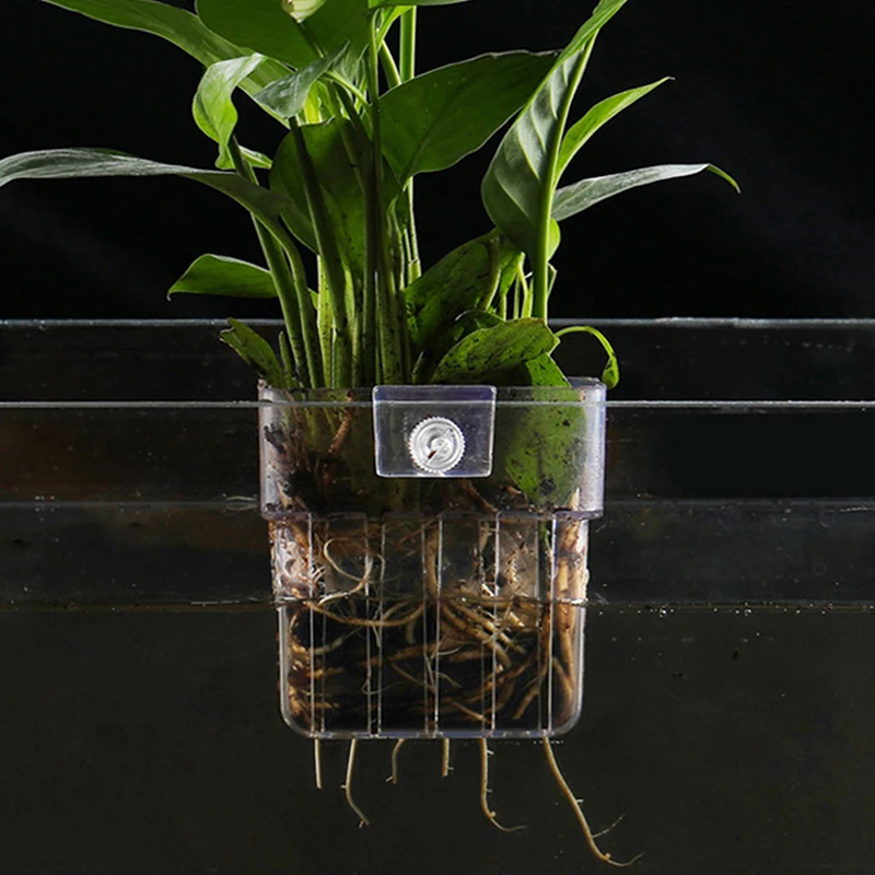 جديد: حامل نباتات مائي معلق عل - مراجعة Aquarium Planted Wall وسعره