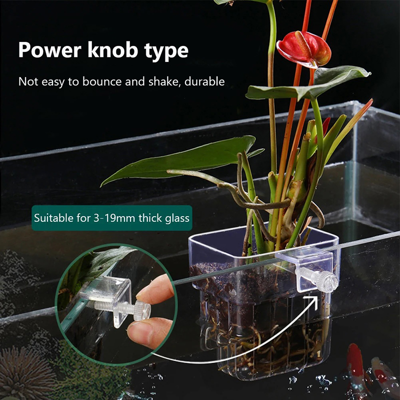 جديد: حامل نباتات مائي معلق عل - مراجعة Aquarium Planted Wall وسعره