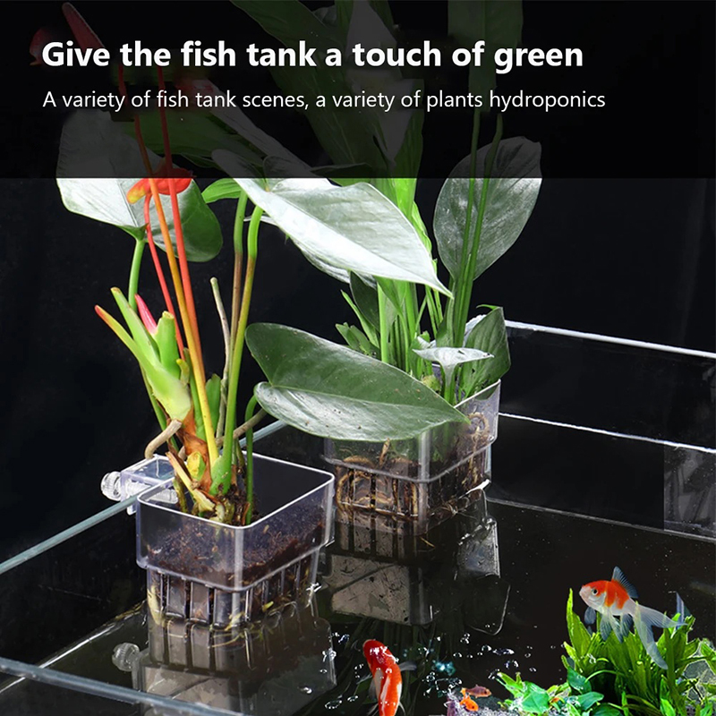 جديد: حامل نباتات مائي معلق عل - مراجعة Aquarium Planted Wall وسعره