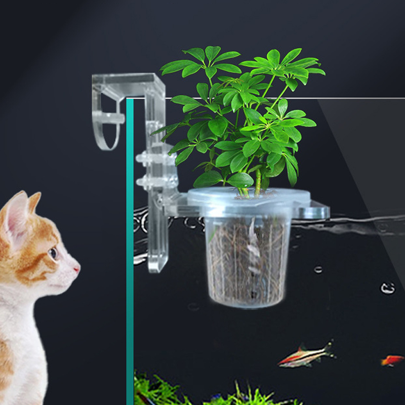 خزان الأسماك زراعة الكؤوس الما - مراجعة Aquarium Planted Wall وسعره