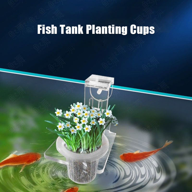 خزان الأسماك زراعة الكؤوس الما - مراجعة Aquarium Planted Wall وسعره
