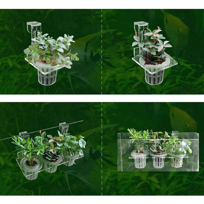 خزان الأسماك زراعة الكؤوس الما - مراجعة Aquarium Planted Wall وسعره