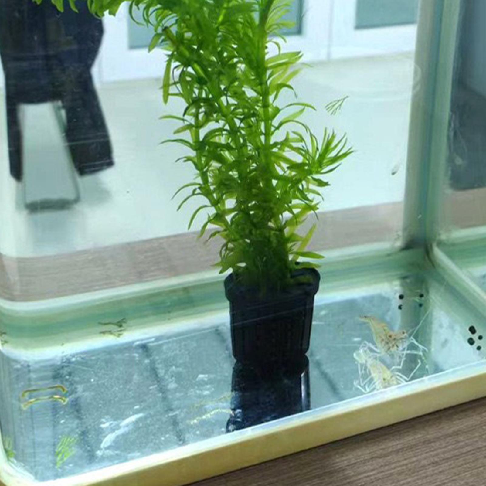 مجموعة من 4 قطع سلال نباتات ما - مراجعة Aquarium Planted Background وسعره