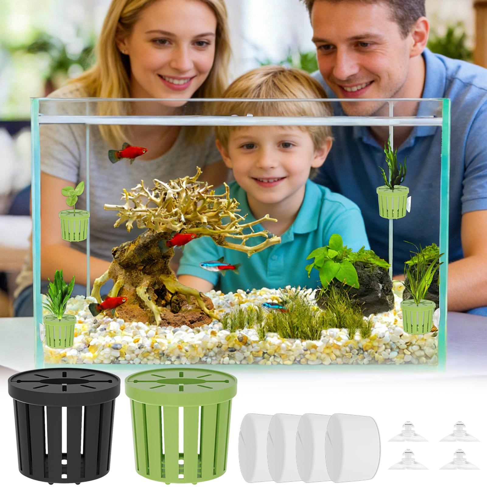 مجموعة من 4 قطع سلال نباتات ما - مراجعة Aquarium Planted Background وسعره