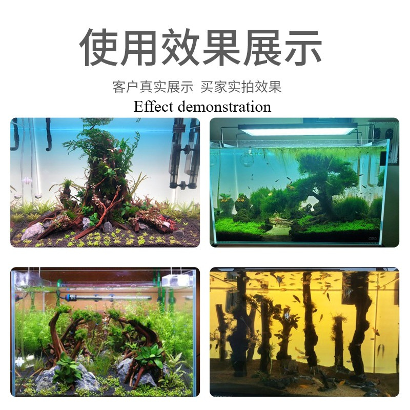 لوحة خلفية LED مخصصة لأحواض ال - مراجعة Aquarium Planted Background وسعره