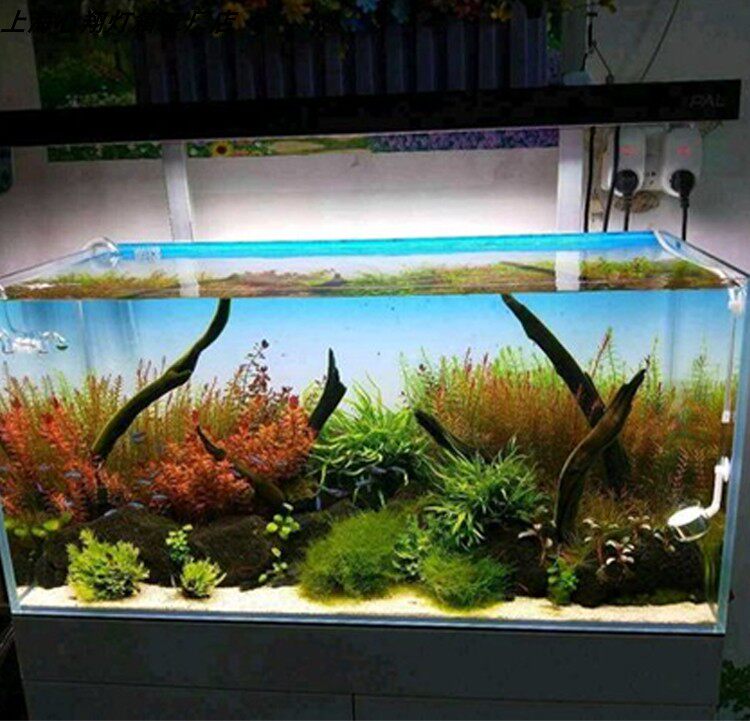 لوحة خلفية LED مخصصة لأحواض ال - مراجعة Aquarium Planted Background وسعره
