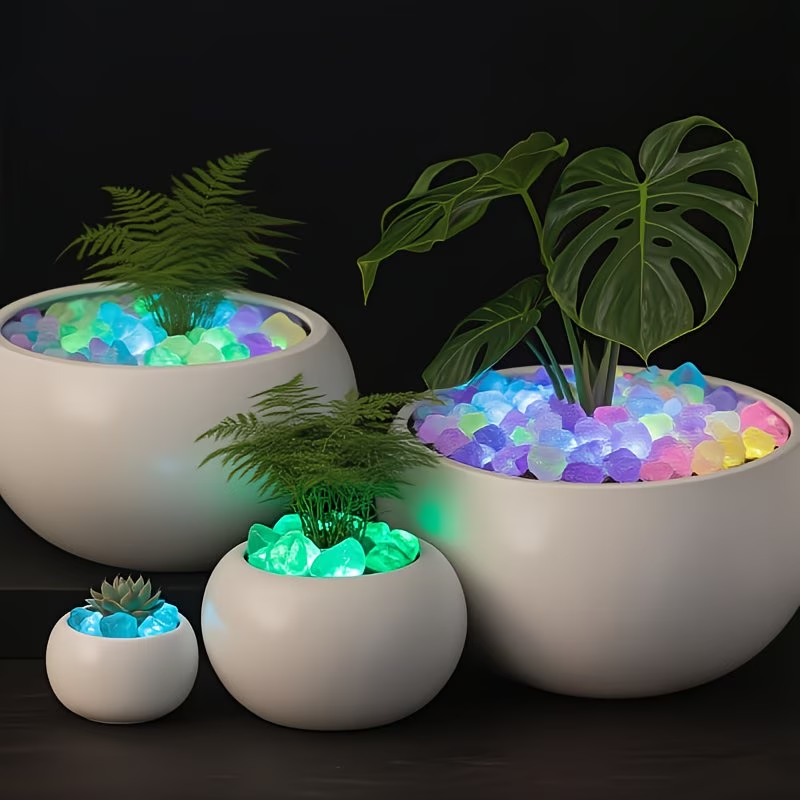 مجموعة 300 قطعة من الحصى المضي - مراجعة Aquarium Planted Plants وسعره
