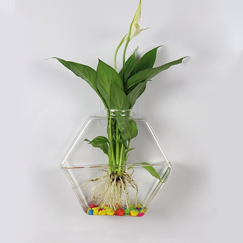 مزهرية معلقة على شكل مخروطي، ن - مراجعة Aquarium Planted Wall وسعره
