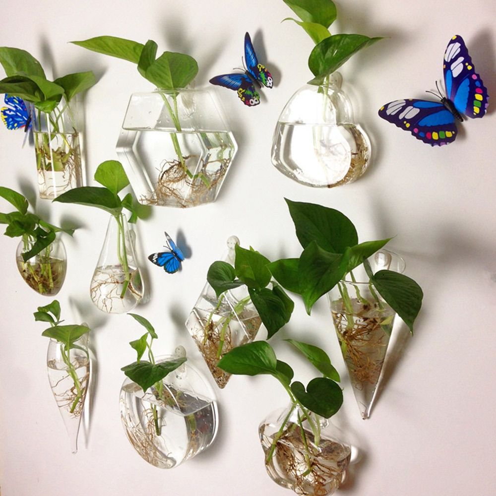 مزهرية معلقة على شكل مخروطي، ن - مراجعة Aquarium Planted Wall وسعره