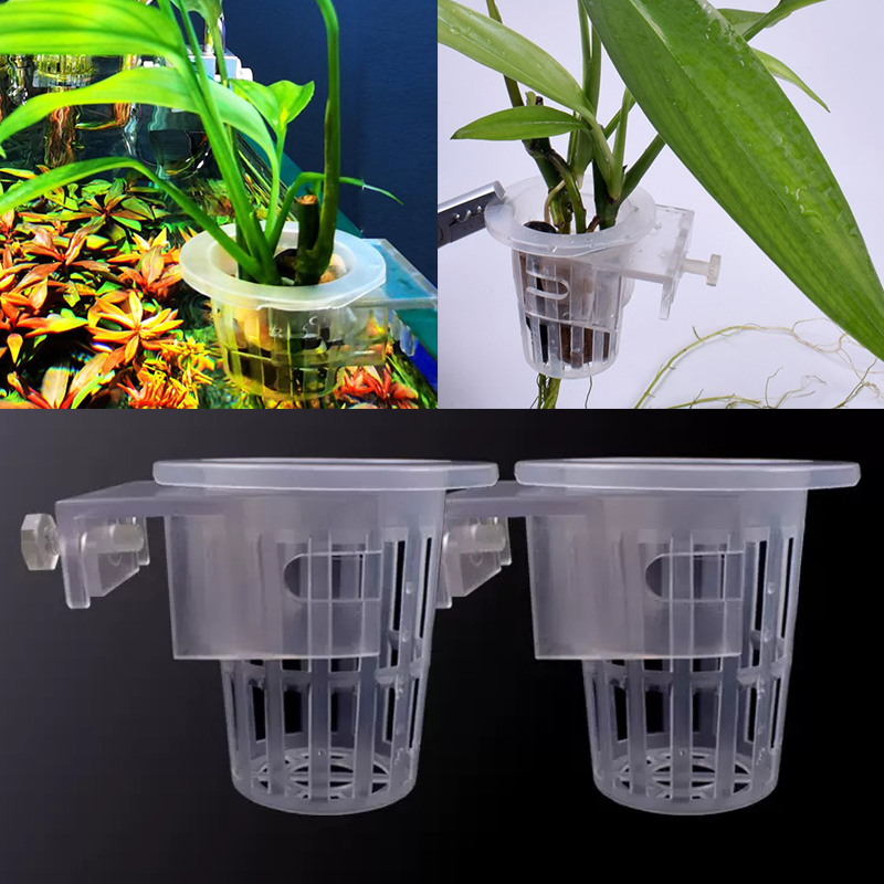 كوب تثبيت نباتي مائي مثبت على  - مراجعة Aquarium Planted Wall وسعره