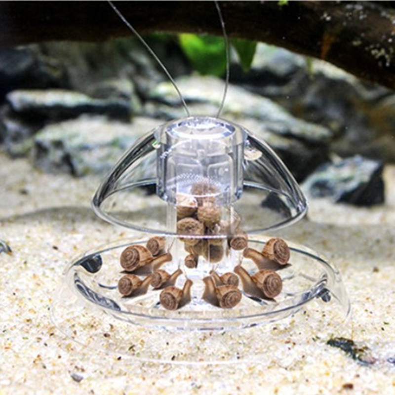 1 قطعة خزان الأسماك حوض السمك  - مراجعة Planted Aquarium Cleaning وسعره