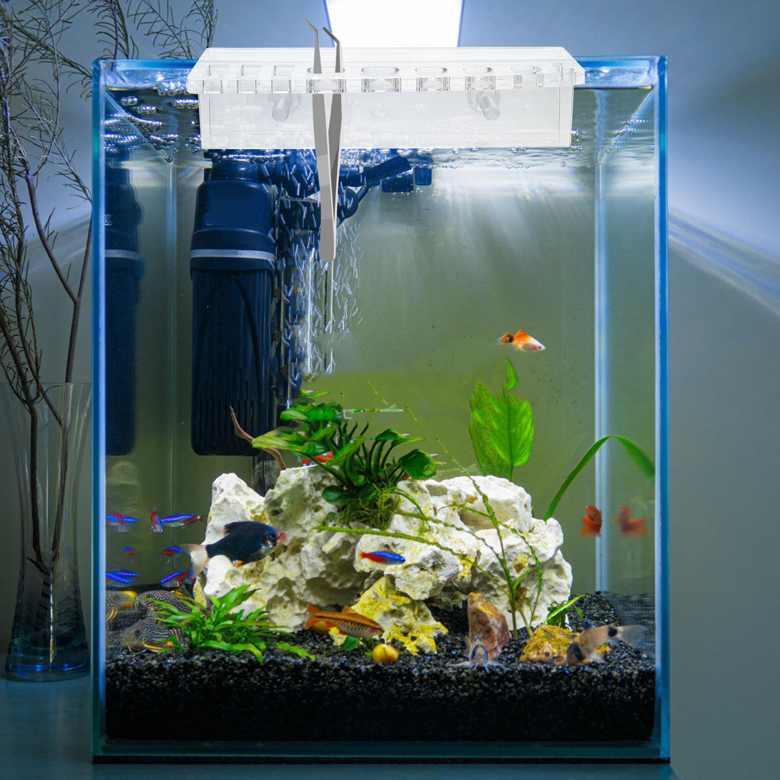 حامل أدوات حوض السمك من الأكري - مراجعة Aquarium Planted Wall وسعره